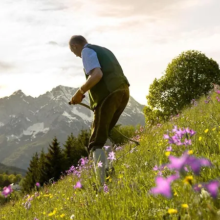 Tiny House Feeling Mit Weitblick Lodge *